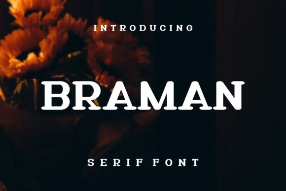 Braman: A Stylish Serif Font for Business