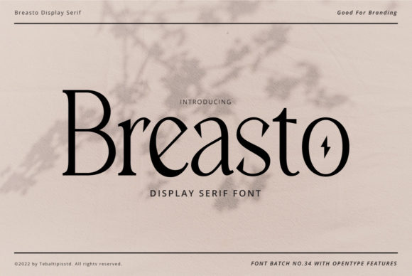 Breasto: A Stylish Serif Font