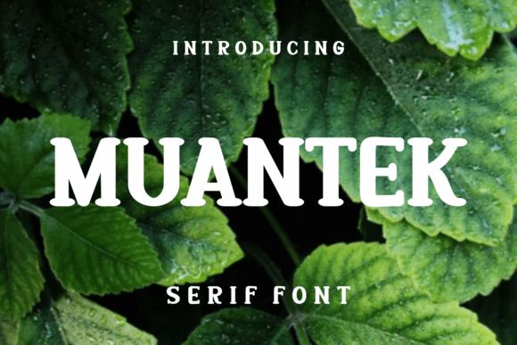 Muantek: A Serif Font for Real-World Design